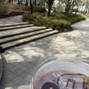 스테이 룰루랄라 | [양평 / 용문사] 용문사 템플스테이