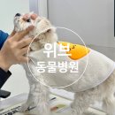 위브동물의료센터 이미지