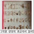 서도지구대 이미지