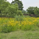 두물머리공원 이미지