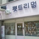 펫트리멍 이미지