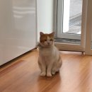 MUNE(무네) 이미지