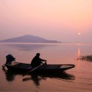 황포돗대 이미지