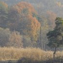 고담낚시터 이미지