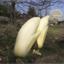 차만들기 이미지