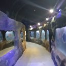 대전아쿠아리움 이미지