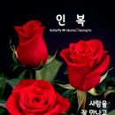 인복 이미지
