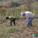 파평산농장 이미지