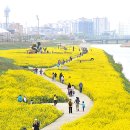 금호동 장미연립아파트 이미지