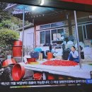 오고가고민박 이미지