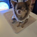 와와멍# 이미지