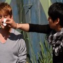 둥글개 둥글개 이미지