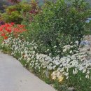 공주펜션심평재 이미지