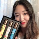 선드리즈