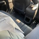 캣앤캣 고양이 병원 이미지