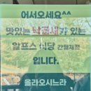 알프스식당 간월재점