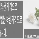 영도장의사