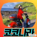 나라전기
