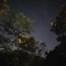 아이엠포레스트