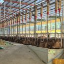 토실토실 2농장 이미지