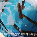 찡어짱 - 포항시 남구 | 찡어짱