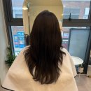 [공지] 원흥미용실 안무트헤어 방문기 ✂️️️