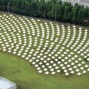 모아에너지 태양광발전소 이미지