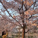 만선감자옹심이 이미지