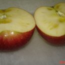 기범농장 이미지