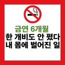 사랑카클리닉 | 금연후기 6개월차, 내 몸에 일어난 놀라운 나의 신체변화
