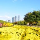 태화강국가정원 이미지