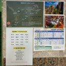 월산무릉아트프라자 | 동해 무릉계곡 물놀이 숙소 월산무릉아트프라자 리트릿 요가 후기