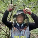 이성우한의원 이미지