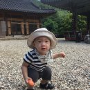내미로 이미지