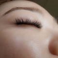 섬결속눈썹 이미지