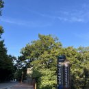 [지리산 생태탐방원] 4인실 및 화엄사 문화산책 해설 후기