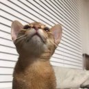 제리스토리 이미지