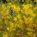 하서초등학교 이미지