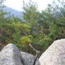 속리산국립공원 칠보산(七寶山) 이미지