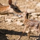 김철농장 이미지
