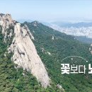 80대에도 45세 기억력 유지하는 비법? 이미지