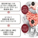 리웨이 사슴태반 줄기세포 정품입니다. 이미지