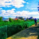 새땅공인중개사사무소 이미지