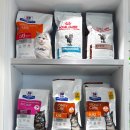 금샘동물병원 이미지