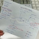옵서예만두 | 혼저옵서예~ 네 혼자 왔어요. 제주 여행 일기