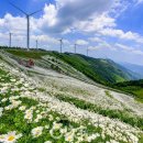 어름치마을 이미지