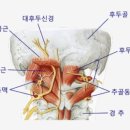 필라테스시도하다
