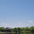 할머니쭈꾸미 이미지