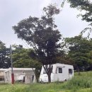 이마트24 R테크노4단지점 | 인천 송도 국제 캠핑장 유럽 카라반 후기, 준비물 팁