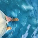 산우물(남)경로당(휴지) | 대구근교캠핑식당) 초례봉 사과나무 - 수영장있고 에어컨 있는 캠핑장, 애견동반, 외부음식 반입가능